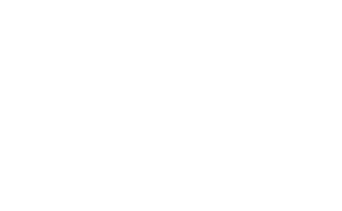 logo-zelle